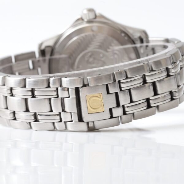 Omega Seamaster 120m Chronometer Automatic 36mm Watch