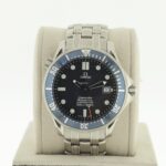 Omega Seamaster Professional 300M Watch