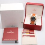 OMEGA Seamaster Planet Ocean Automatic Watch 22085000