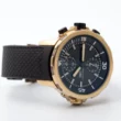 IWC Aquatimer Chronograph Charles Darwin Bronze Special Edition